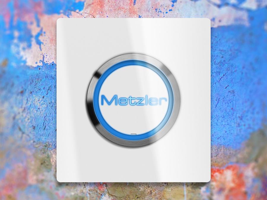 Metzler Schneeweiss Edition