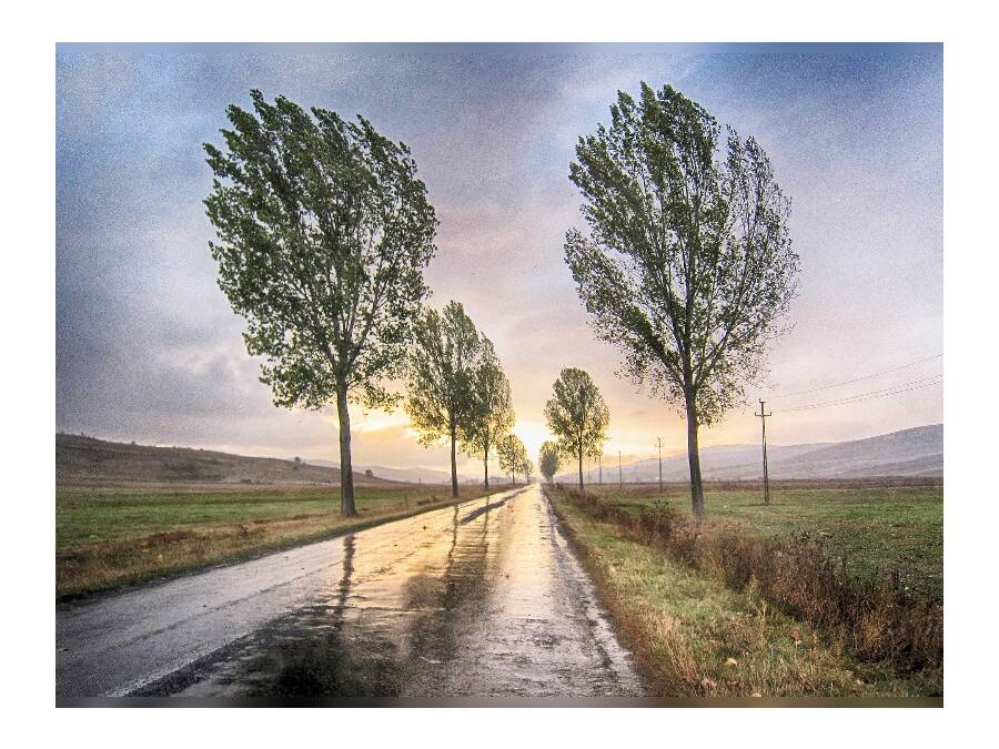 Come i prodotti Metzler resistono al vento e alle intemperie - Come i prodotti Metzler resistono al vento e alle intemperie