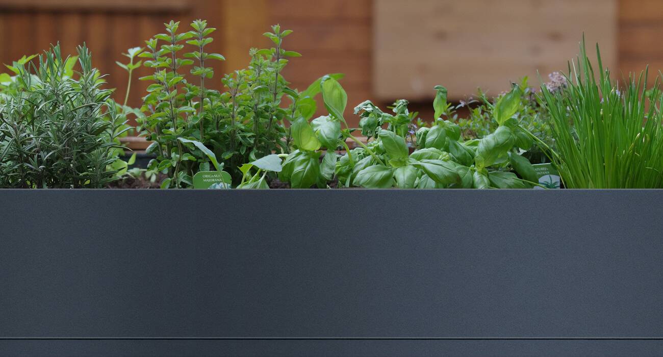 Hochbeet für beste Wachstumsbedingungen
