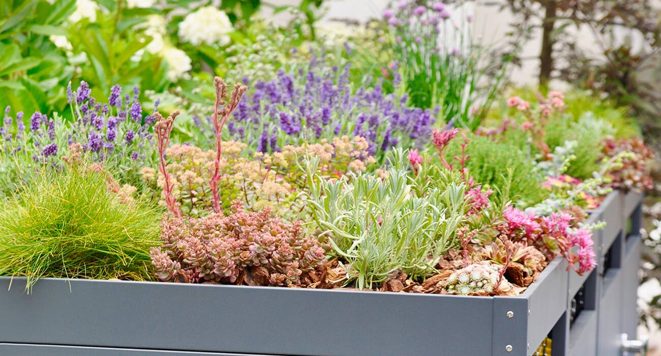 Individuell begrünbares Pflanzdach