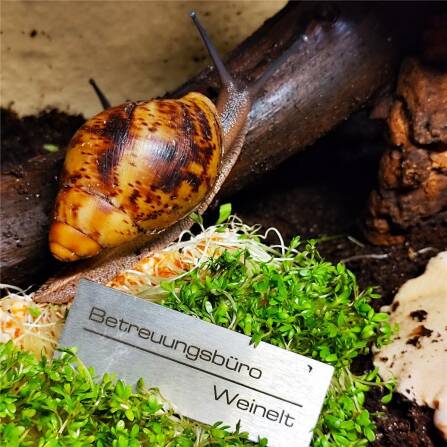 Targa di nome in acciaio inossidabile con incisione laser