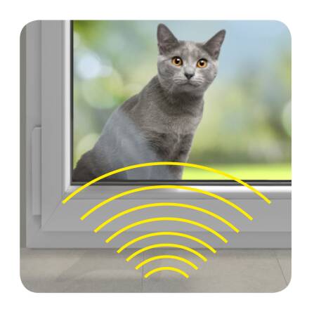 Funkgong-Set HX Pet 100 m, reinweiss, Haustierklingel