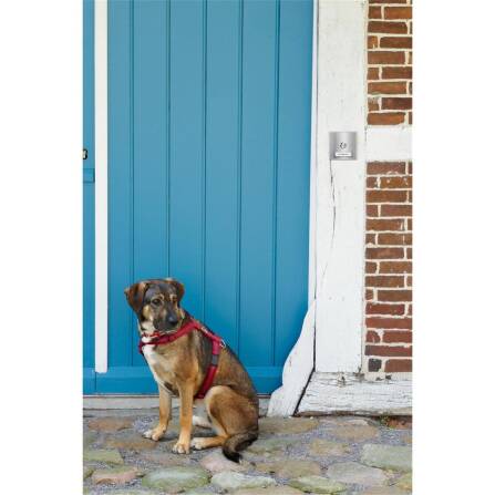 Metzler Campanello wireless esterno con targhetta sostituibile | Acciaio inox spazzolato | Parisa