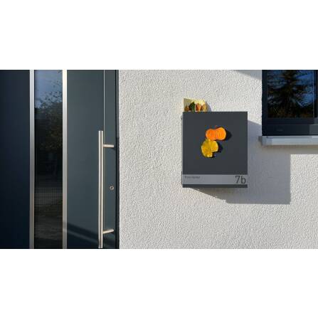 Metzler Boîte aux Lettres Anthracite Acier de haute Qualité Plaque Acier Inoxydable | Lepo 1