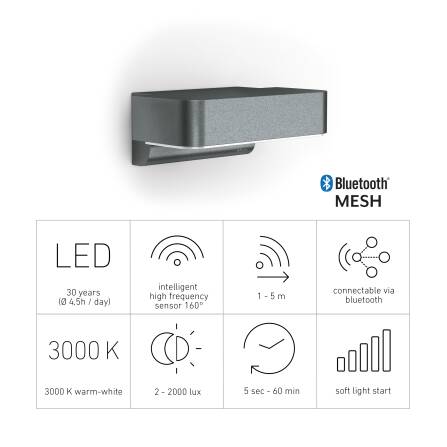 LED Außenleuchte | L 800 SC | Anthrazit | Sensor & Bluetooth