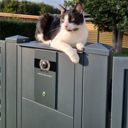 Metzler VDM10 2.0 Video-Türsprechanlage | 1 Klingeltaster | Colson