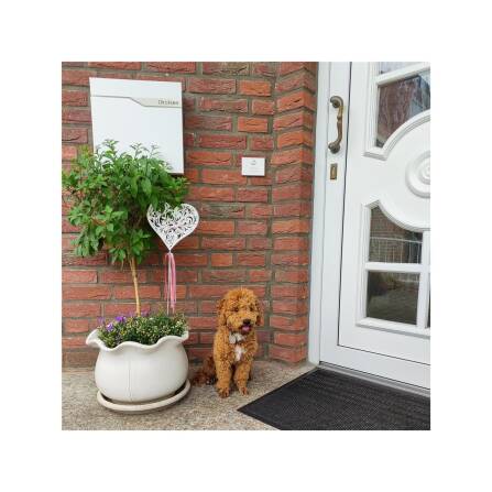 Metzler Briefkasten Weiß austauschbares Namensschild | Ebenhard