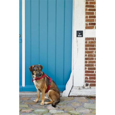 Metzler Aufputz Türklingel austauschbares Namensschild | RAL 9005 Tiefschwarz | Parisa