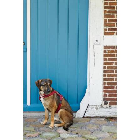 Metzler citofono esterno con targhetta del nome intercambiabile | RAL 9016 Bianco traffico | Parisa