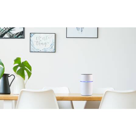 Grothe Funkgong-Set Bluetooth CALIMA 800