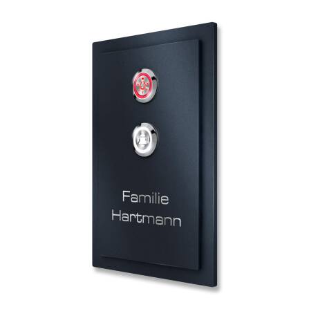 Metzler Plaque sonnette acier inoxydable en RAL7016 Anthracite avec deux boutons poussoir LED | Alvin