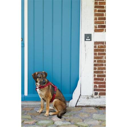 Metzler Aufputz Türklingel austauschbares Namensschild | Parisa