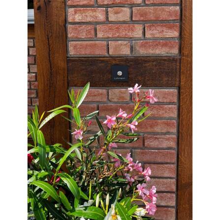 Metzler Türklingel mit Gravur + LED-Taster optional | Stella