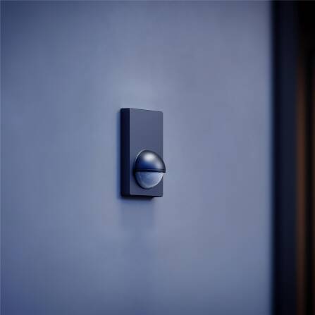 Bewegungsmelder | IS 180-2 | Schwarz