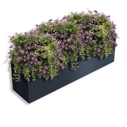 Metzler Blumenkasten | Zubehör für Mülltonnenzaun | RAL7016 Anthrazitgrau