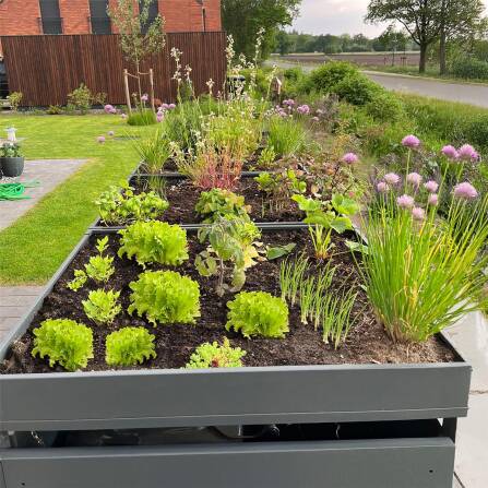 Metzler Mülltonnenbox mit Pflanzdach | 4er | 240l | Anthrazit RAL 7016 | aus Stahl | rostfrei & massiv | Türgriff mit Schloss