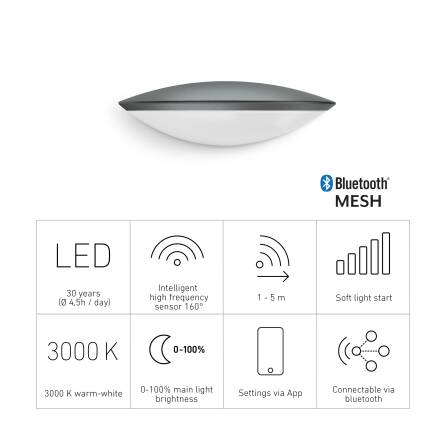 LED Außenleuchte | L 825 SC | Anthrazit | Sensor & Bluetooth