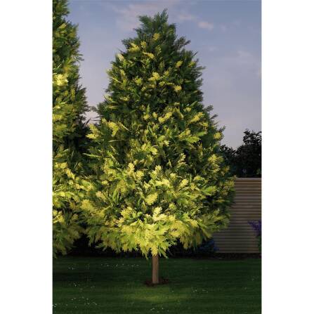 Plug & Shine | LED Bodeneinbauleuchte | Floor Einzelspot