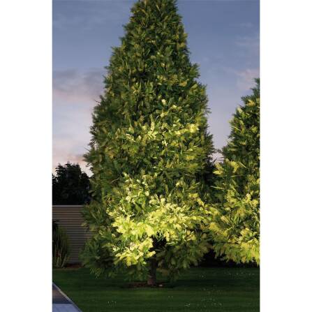 Plug & Shine | LED Bodeneinbauleuchte | Floor Einzelspot