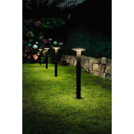 Plug & Shine | LED Pollerleuchte | Plate Einzelleuchte