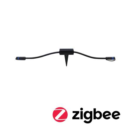 Plug & Shine | Controller | Smart Home Zigbee