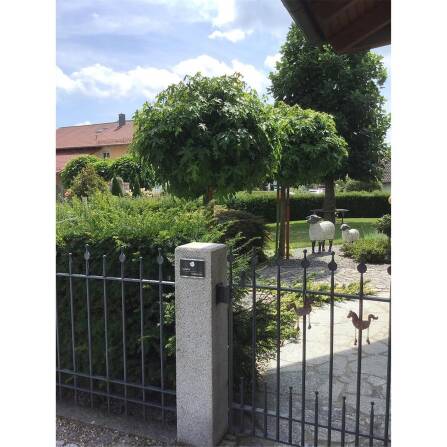 Metzler Campanello da porta in acciaio inox antracite LED dimensione selezionabile | 8 x 6 cm | Heidi