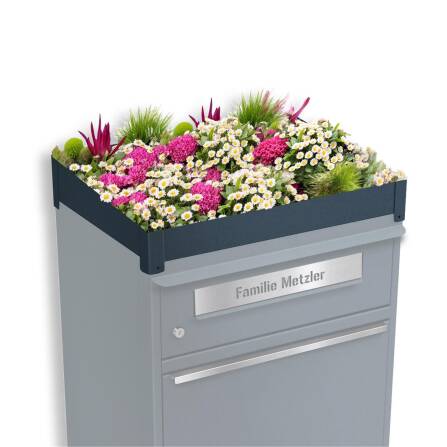 Metzler Pflanzdach für Paketbox | Dachbegrünung...