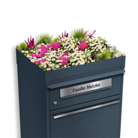 Metzler Pflanzdach für Paketbox | Dachbegrünung für Paketbriefkasten | für Modellreihe Bispo