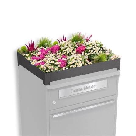 Metzler Pflanzdach für Paketbox | Dachbegrünung...