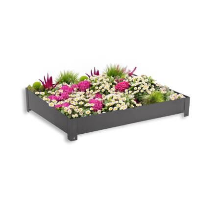 Metzler Toit végétal pour boîte à colis | DB 703 Mica de fer | Plantation pour boîte aux lettres et à colis | pour série de modèles Bispo