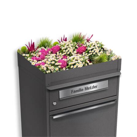 Metzler Toit végétal pour boîte à colis | DB 703 Mica de fer | Plantation pour boîte aux lettres et à colis | pour série de modèles Bispo