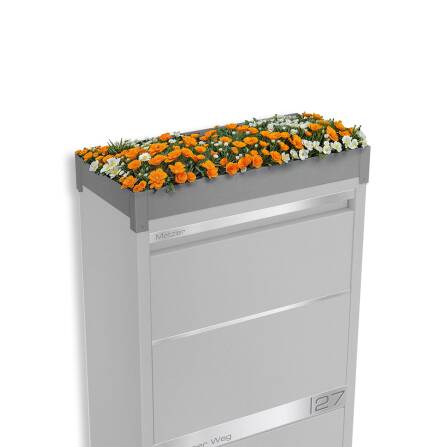 Metzler Pflanzdach in Grau | Dachbegrünung für...