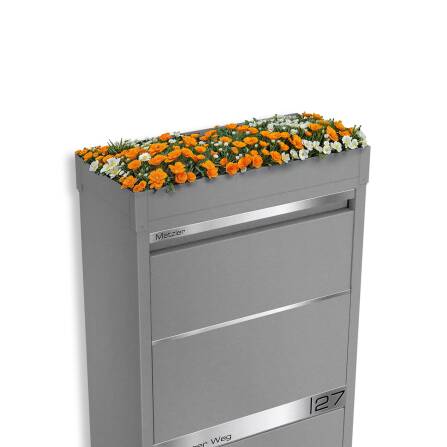 Metzler Toit végétal en gris | Plantation de toit pour boîte à colis modèle Avalon