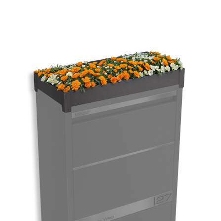 Metzler Pflanzdach in Eisenglimmer | Dachbegrünung...