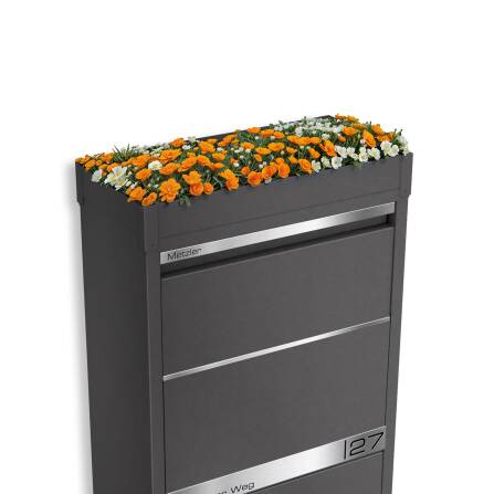 Metzler Pflanzdach in Eisenglimmer | Dachbegrünung für Paketbox Modellreihe Avalon