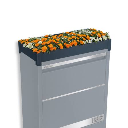 Metzler Pflanzdach | Dachbegrünung für Paketbox...