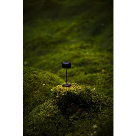 Akkuleuchte  | Lille Mini