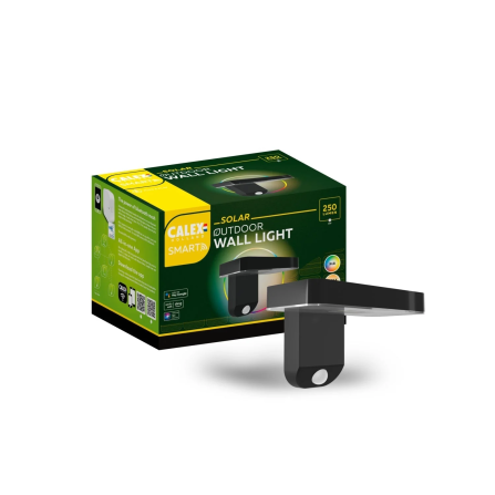 Wandleuchte | Smart | Solar | LED RGB+Warmweiß