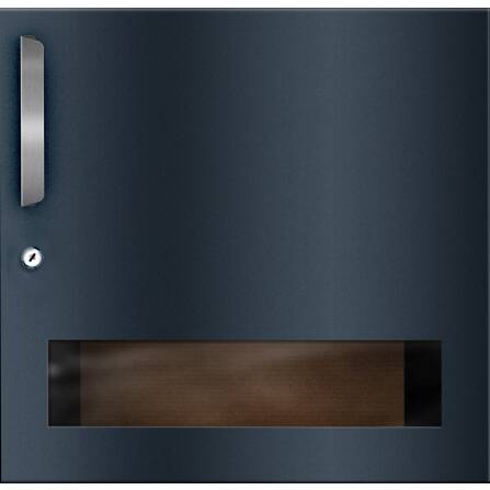 Porta con finestrino