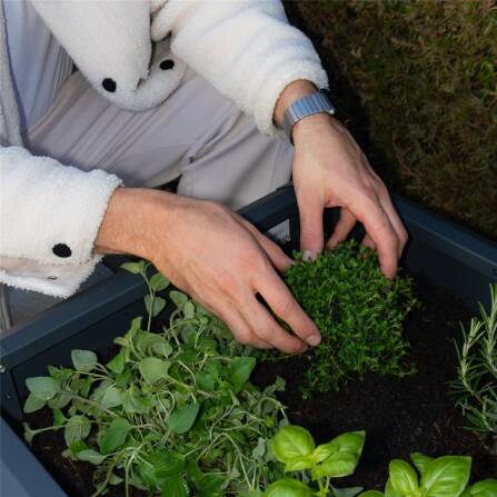 Metzler Hochbeet S für den Garten oder Balkon | 50 x 50 x 50 cm