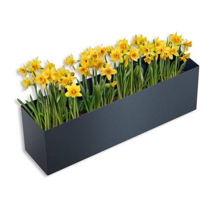 Metzler Blumenkasten für Paketbox Modellreihe Bispo | RAL 7016 Anthrazit