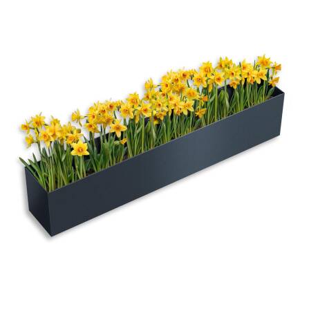 Metzler Blumenkasten für Metzler Mülltonnenbox | RAL 7016 Anthrazit