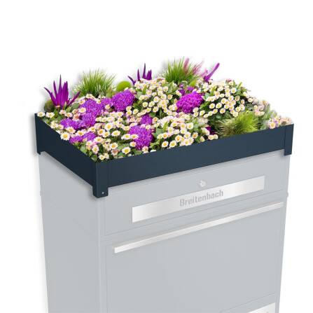 Metzler Pflanzdach für Ihre Paketbox |...