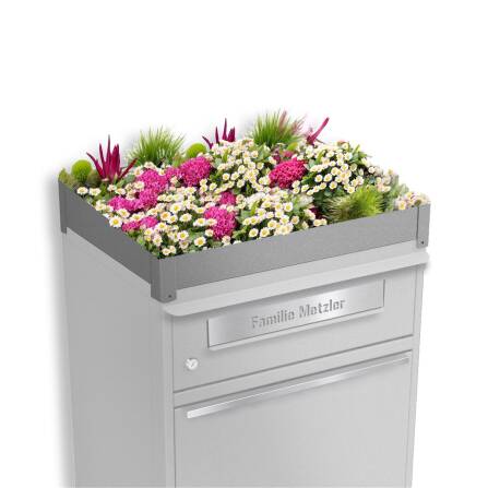 Metzler Pflanzdach für Paketbox | Dachbegrünung...