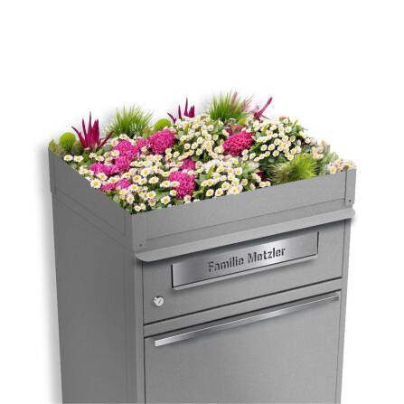 Metzler Pflanzdach für Paketbox | Dachbegrünung für Paketbriefkasten | Grau | für Modellreihe Bispo