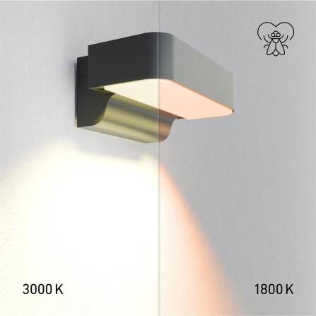 Lampada LED da esterno | L 800  Antracite