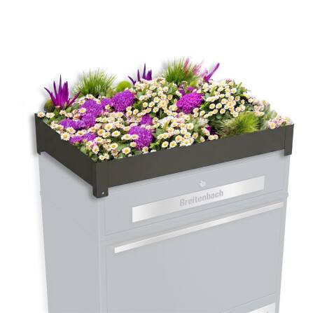 Metzler Pflanzdach für Ihre Paketbox |...