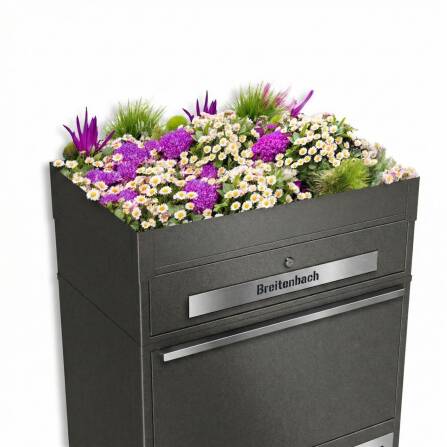 Metzler Pflanzdach für Ihre Paketbox | Dachbegrünung für Paketbriefkasten | für Modellreihe Bispo Max | Eisenglimmer