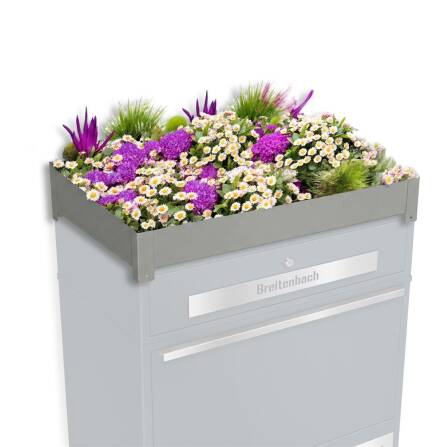 Metzler Pflanzdach für Ihre Paketbox |...
