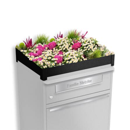 Metzler Pflanzdach für Paketbox | Dachbegrünung...